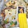 Sassi by Latif Arts Fine Lawn 3PC with Bambar Dupatta Wholesale Suit